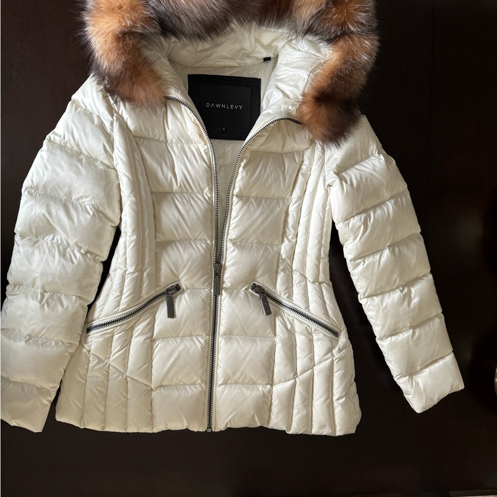 Beautiful Dawn Levy Parka Never worn